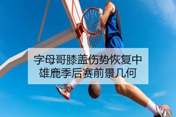字母哥膝盖伤势恢复中 雄鹿季后赛前景几何
